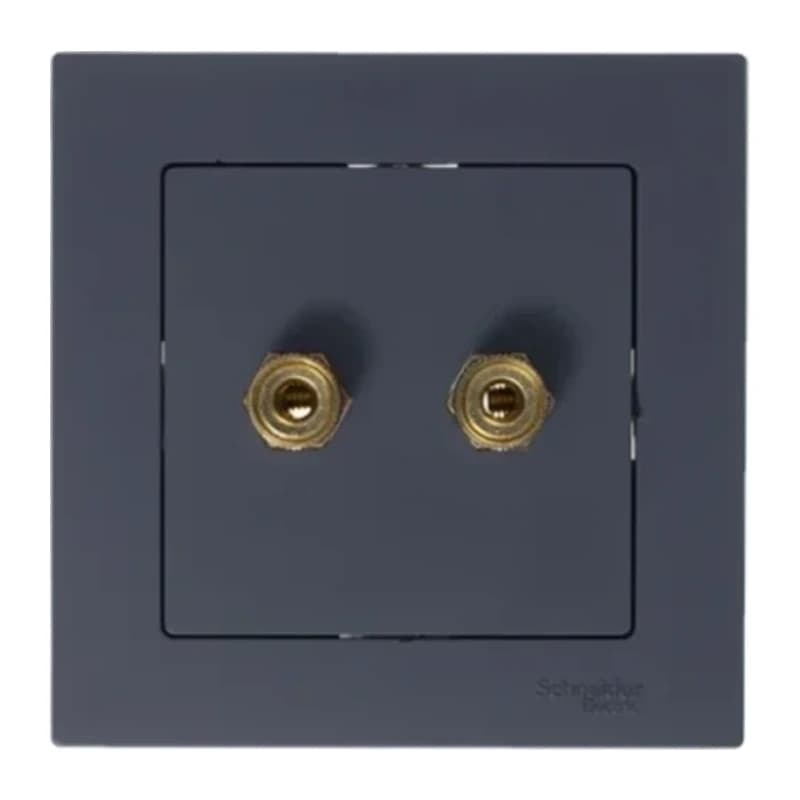 Розетка акустическая двойная Schneider Atlasdesign, грифель