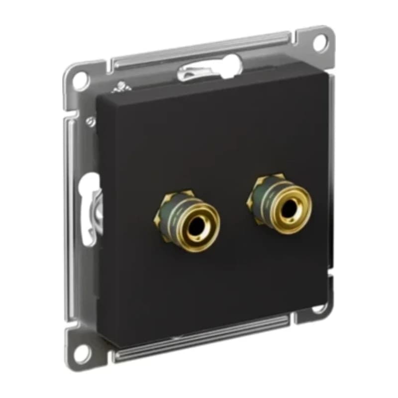 Розетка акустическая двойная Schneider Atlasdesign, карбон