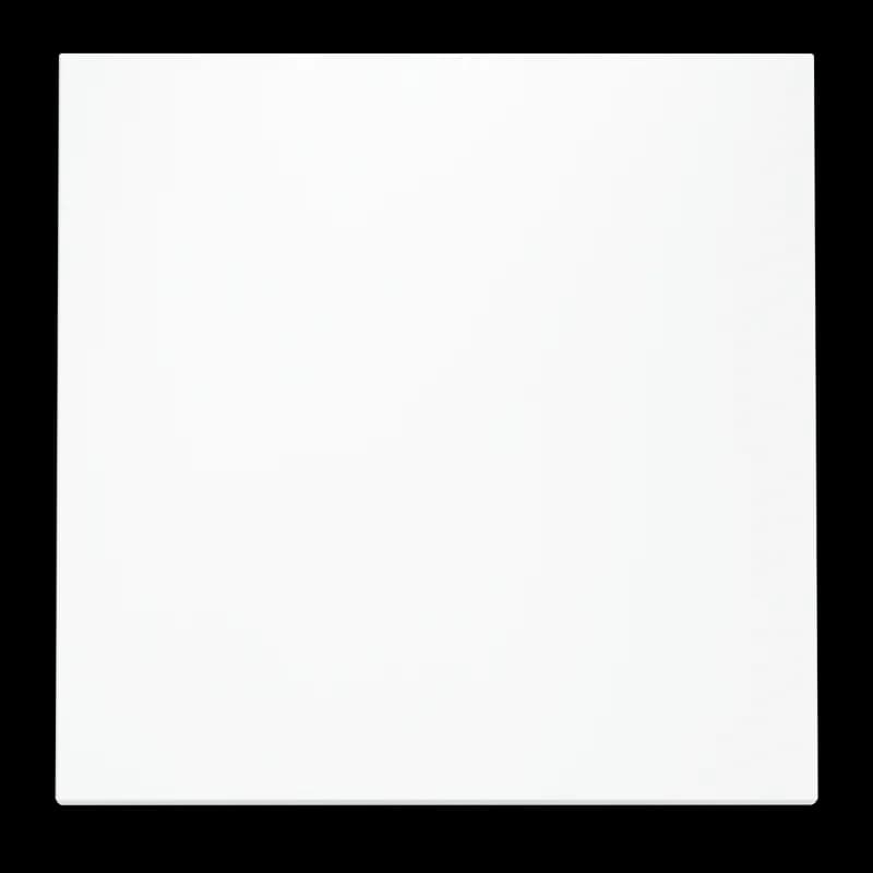 Клавиша для выключателя/переключателя одноклавишного, S70 (белый матовый)