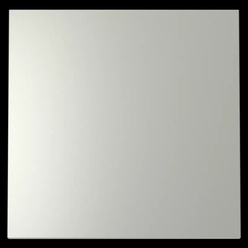 Клавиша для выключателя/переключателя одноклавишного, S70 (сталь)