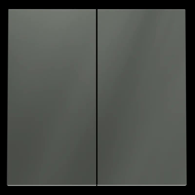 Клавиши для выключателя/переключателя двухклавишного, S70 (титан)