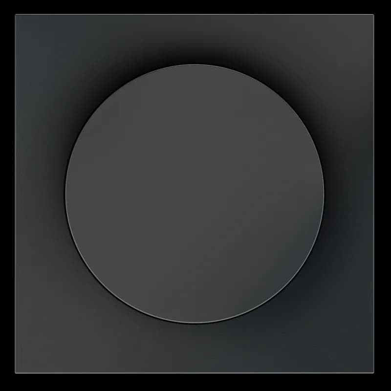 Накладка для светорегулятора поворотно-нажимного, S70 (графит)