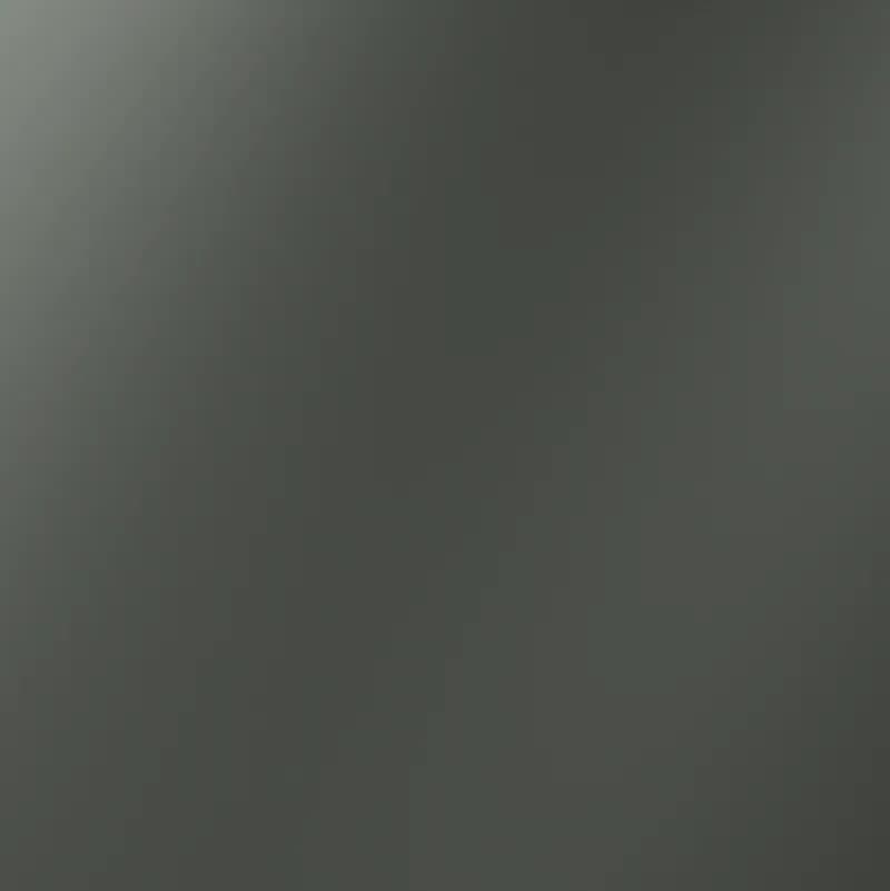 Заглушка VOLTUM S70 с суппортом, (титан)