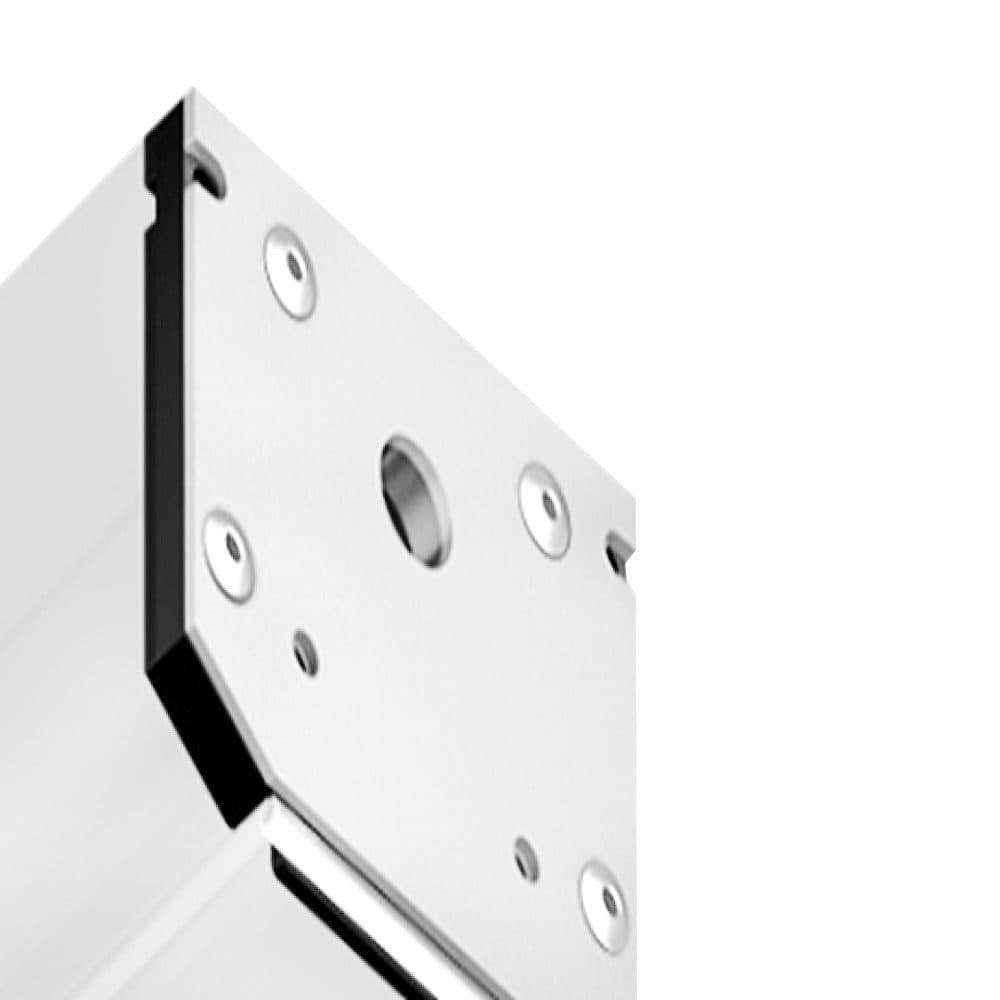 GL3622 WH белый заглушка для корпуса в натяжной потолок для магнитного шинопровода (2шт)