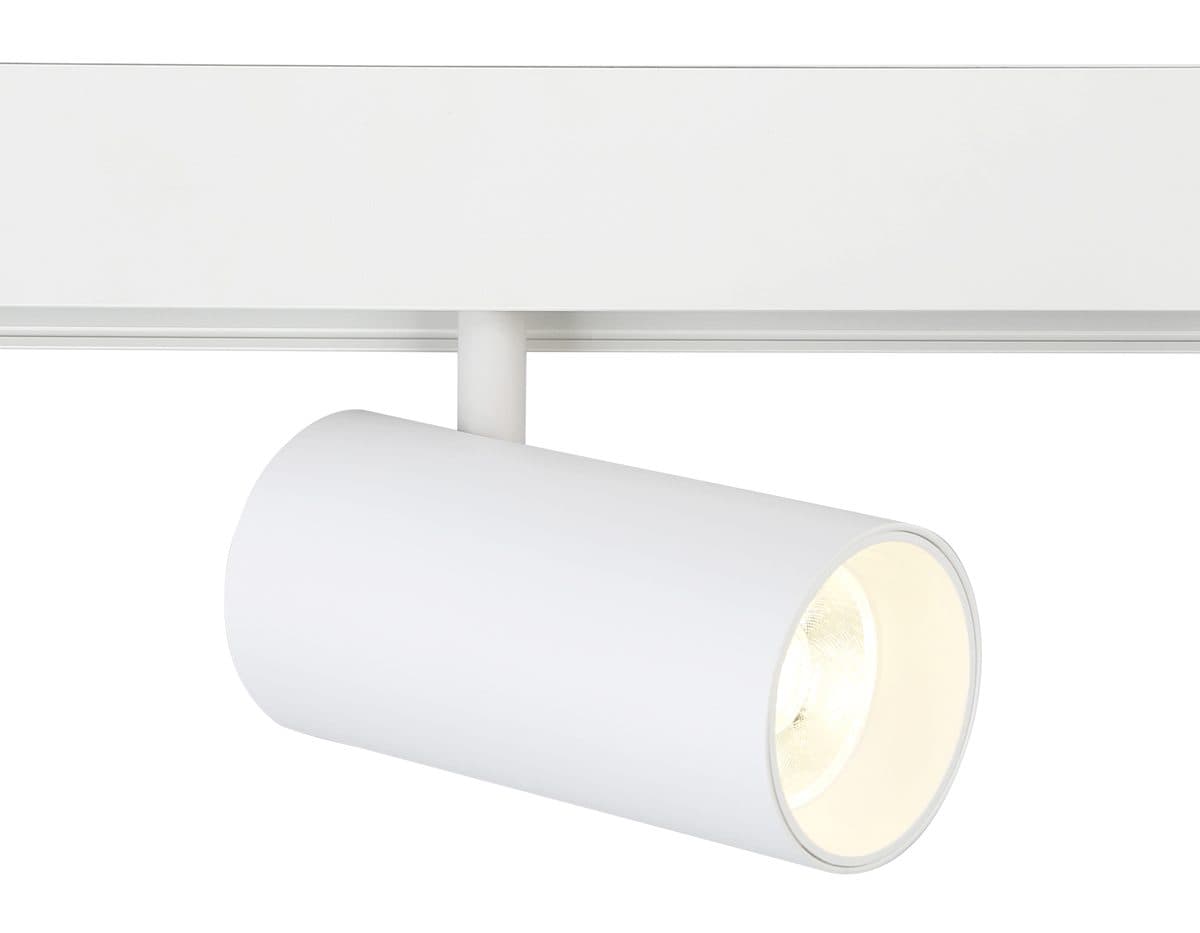 GL3838 WH белый IP20 20W 4000K 48V 24° D67*138