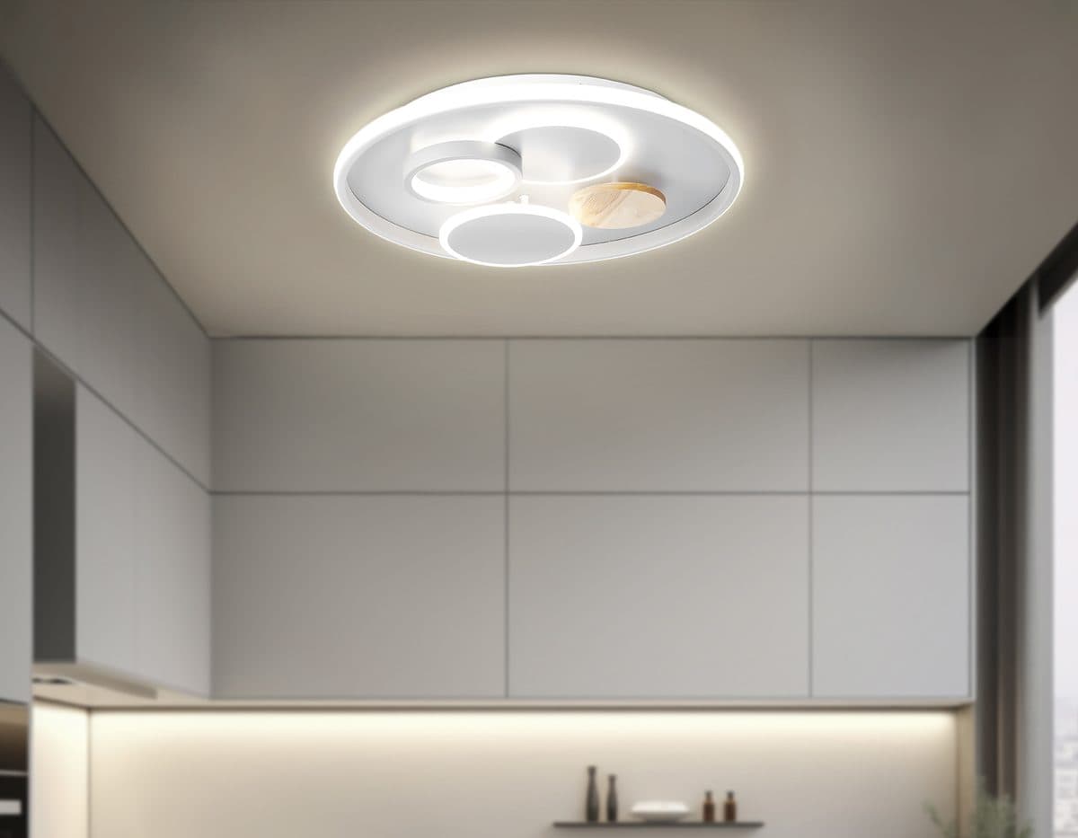 FL4803 GR серый 3000K-6400K 70W D500*95 (ПДУ ИК)