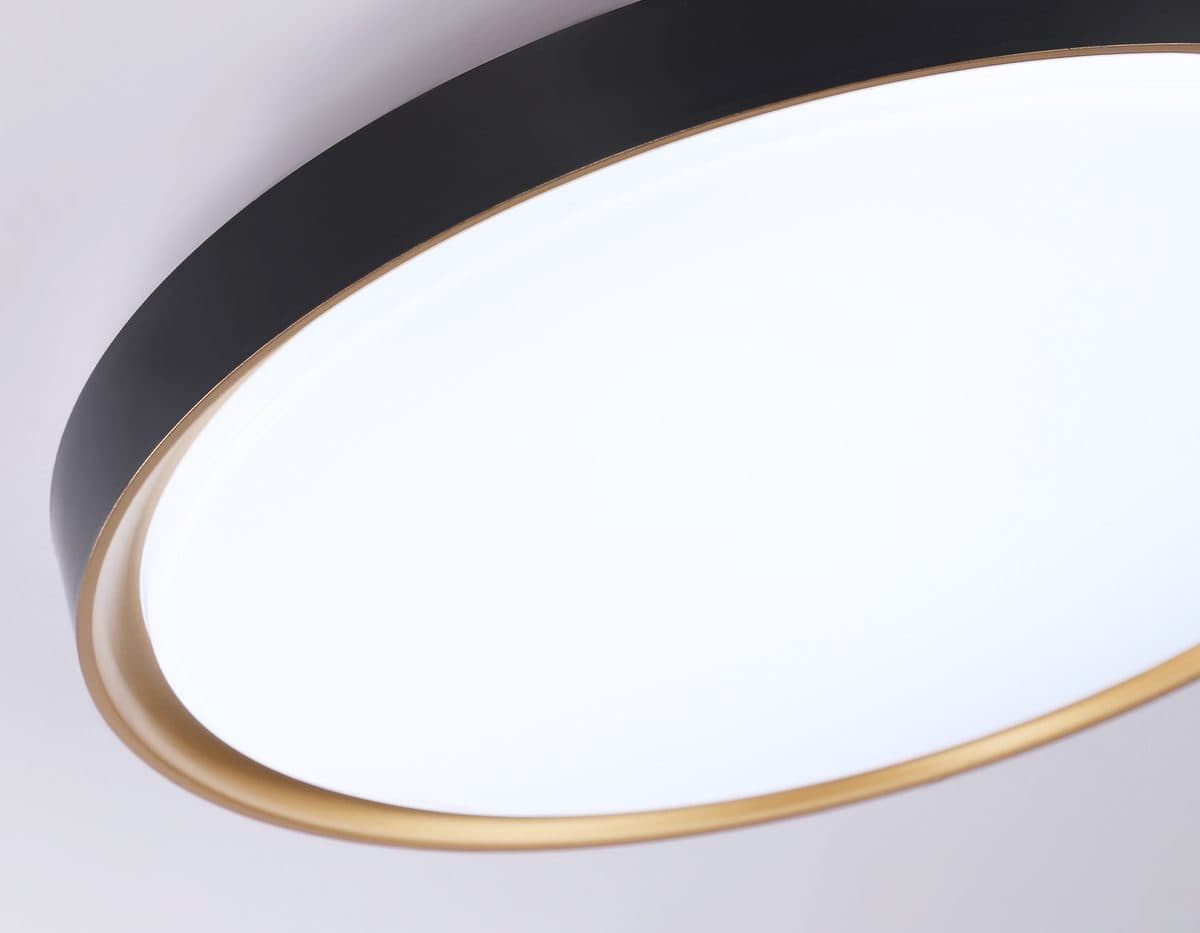 FZ1249 BK/GD черный/золото IP54 45W 5000K D480*60 (Без ПДУ)