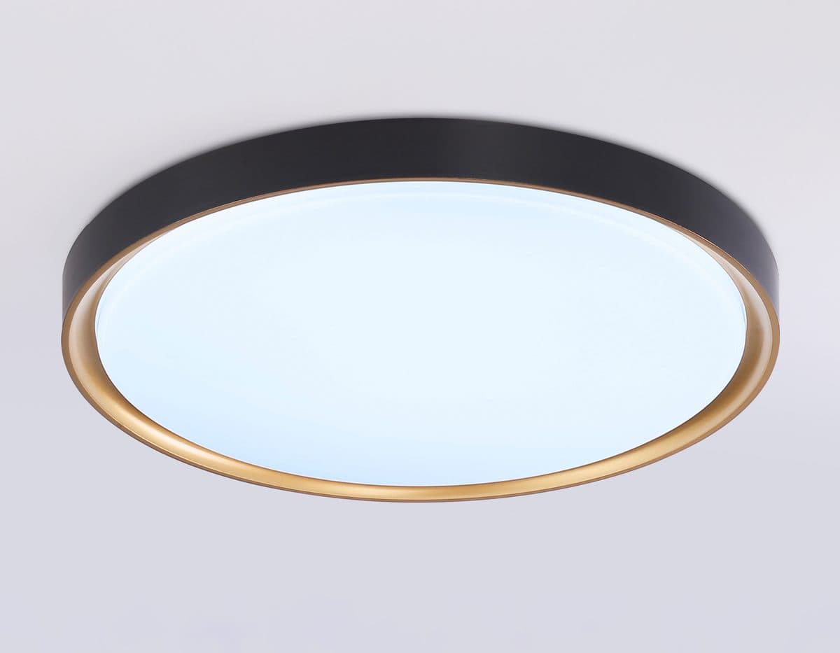 FZ1249 BK/GD черный/золото IP54 45W 5000K D480*60 (Без ПДУ)