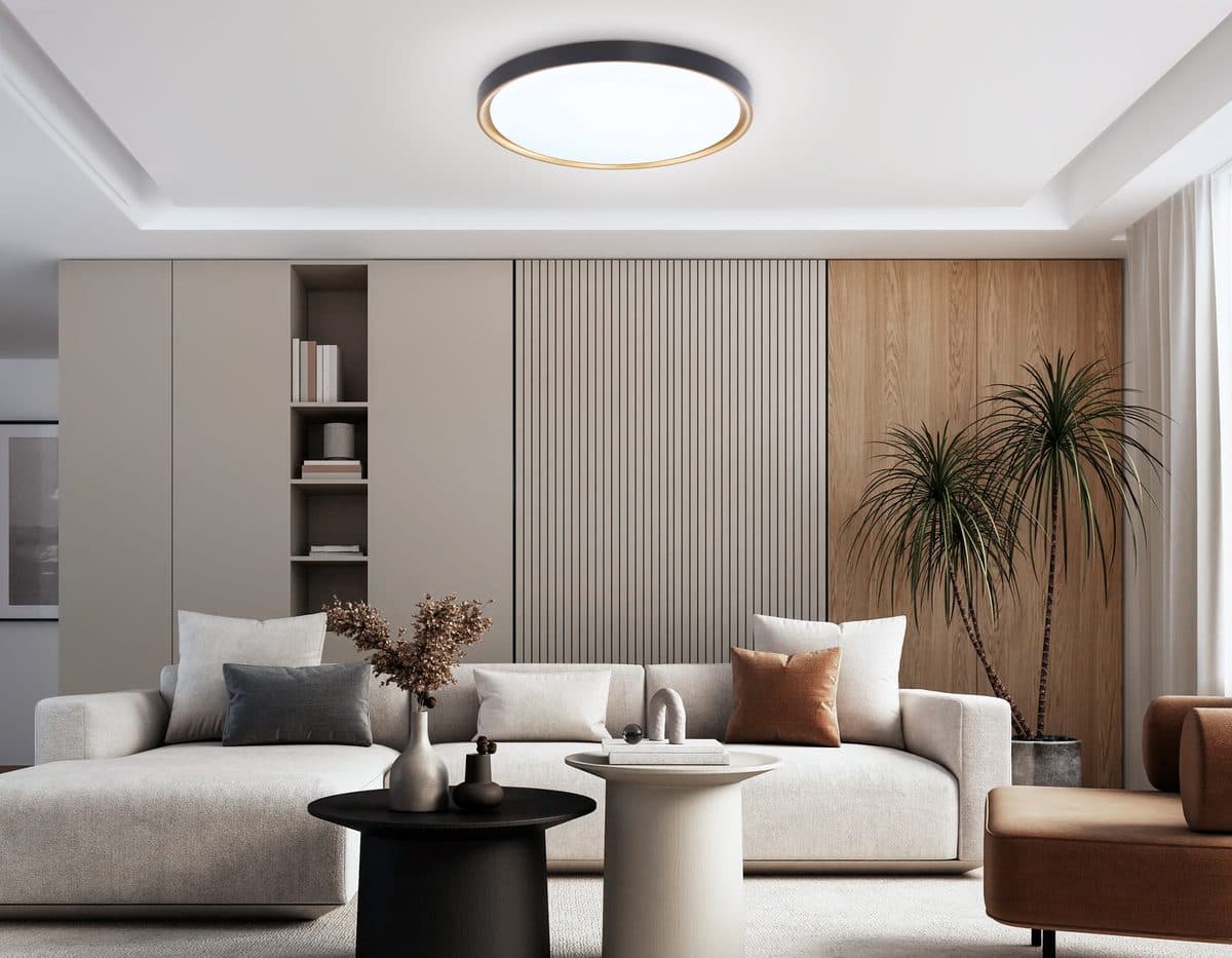 FZ1249 BK/GD черный/золото IP54 45W 5000K D480*60 (Без ПДУ)