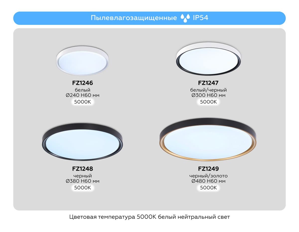 FZ1249 BK/GD черный/золото IP54 45W 5000K D480*60 (Без ПДУ)