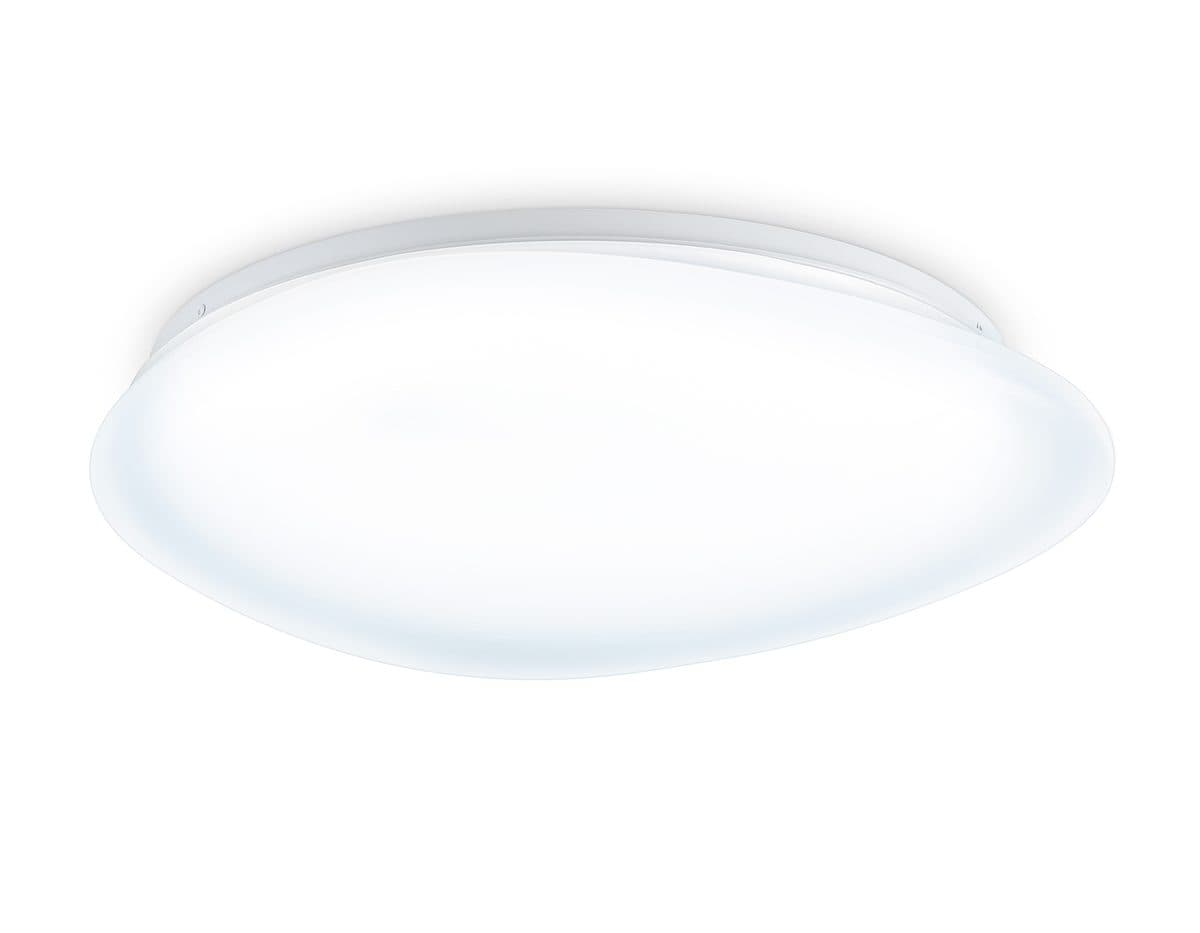 FZ1605 FR матовый IP20 60W 5000K 510*100 (Без ПДУ)