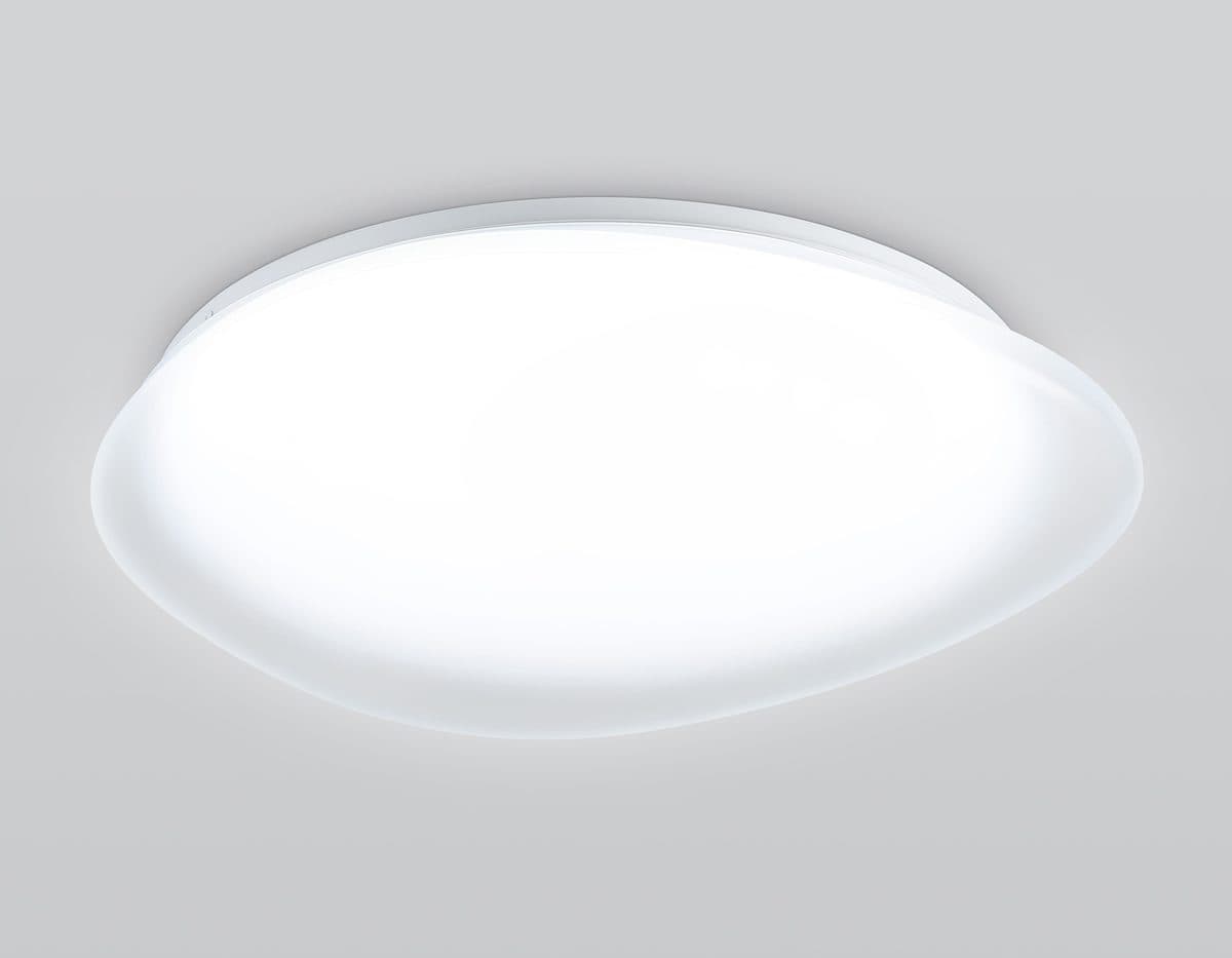 FZ1605 FR матовый IP20 60W 5000K 510*100 (Без ПДУ)