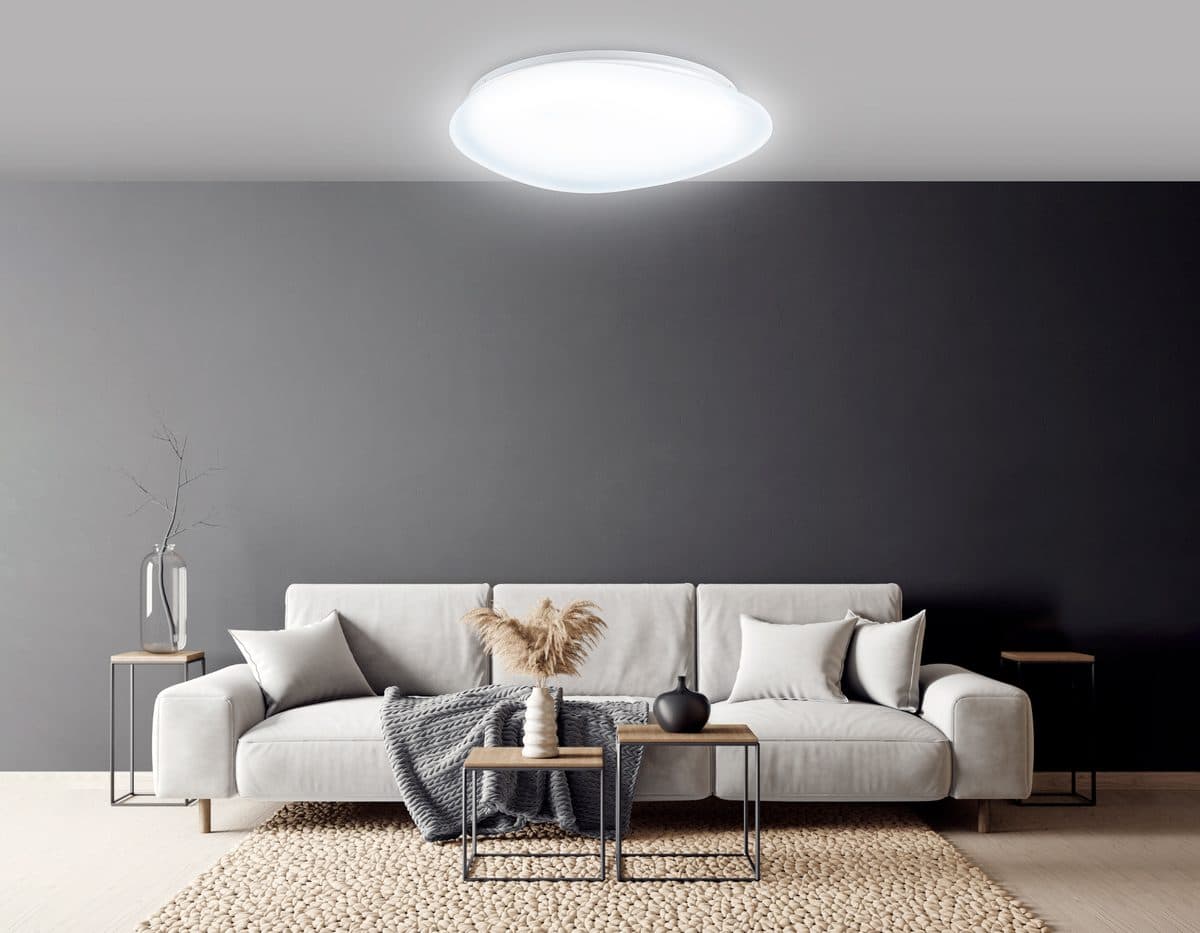 FZ1605 FR матовый IP20 60W 5000K 510*100 (Без ПДУ)