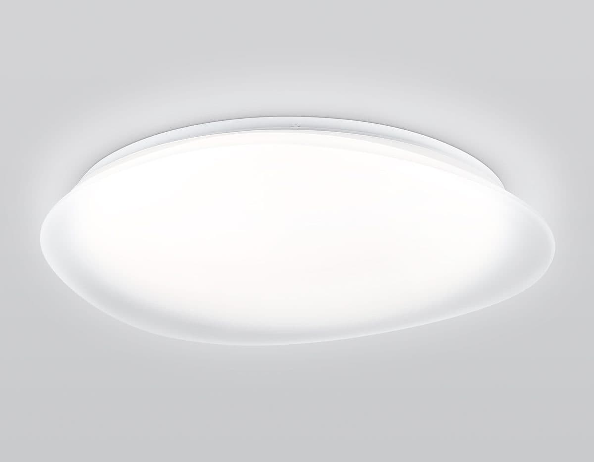 FZ1615 FR матовый IP20 60W 3000-6500K+RGB 510*100 (ПДУ ИК)