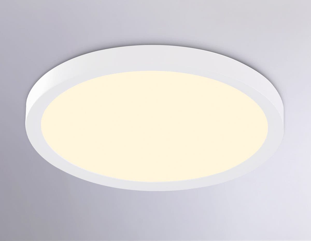 FZ1903 WH белый IP54 20W 3000K-6500K CCT-переключатель D300*25 (Без ПДУ)