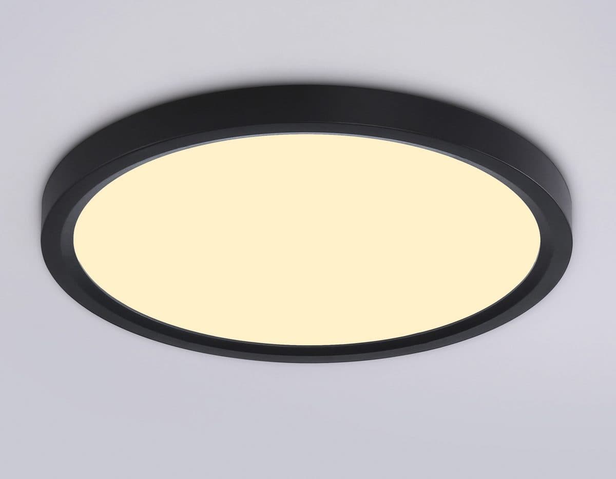 FZ1904 BK черный IP54 20W 3000K-6500K CCT-переключатель D300*25 (Без ПДУ)