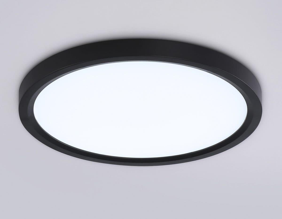 FZ1904 BK черный IP54 20W 3000K-6500K CCT-переключатель D300*25 (Без ПДУ)