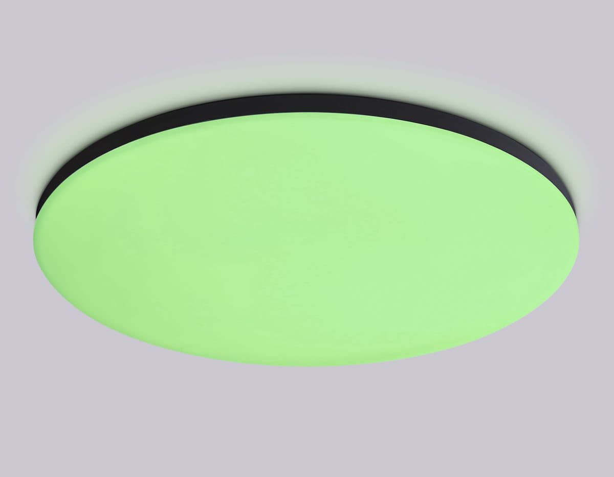 FZ2006 BK черный IP54 30W 3000K-6500K+RGB Wi-Fi Алиса/Tuya/Smart Home/Alexa D450*60 (ПДУ ИК)