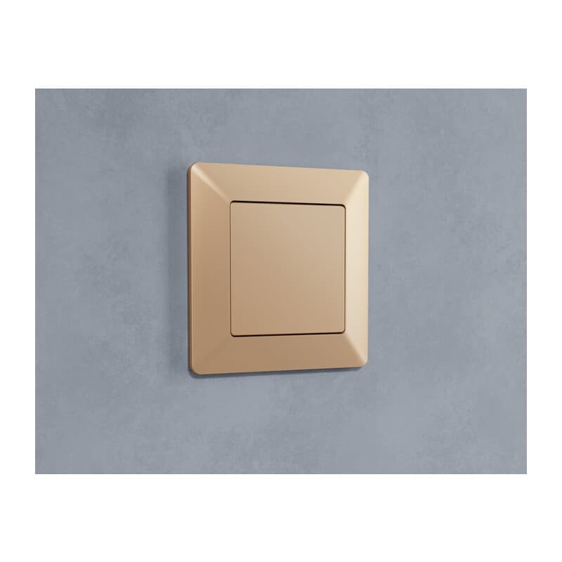 Рамка ALFA Line (Шампань) 1-ая