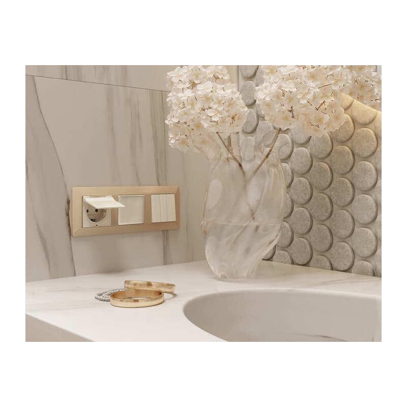 Рамка ALFA Line (Шампань) 1-ая