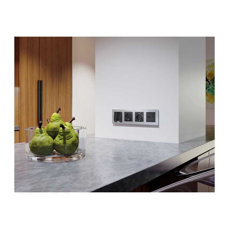 Рамка ALFA Platos (Серебро Металл шлифованный) 1-ая