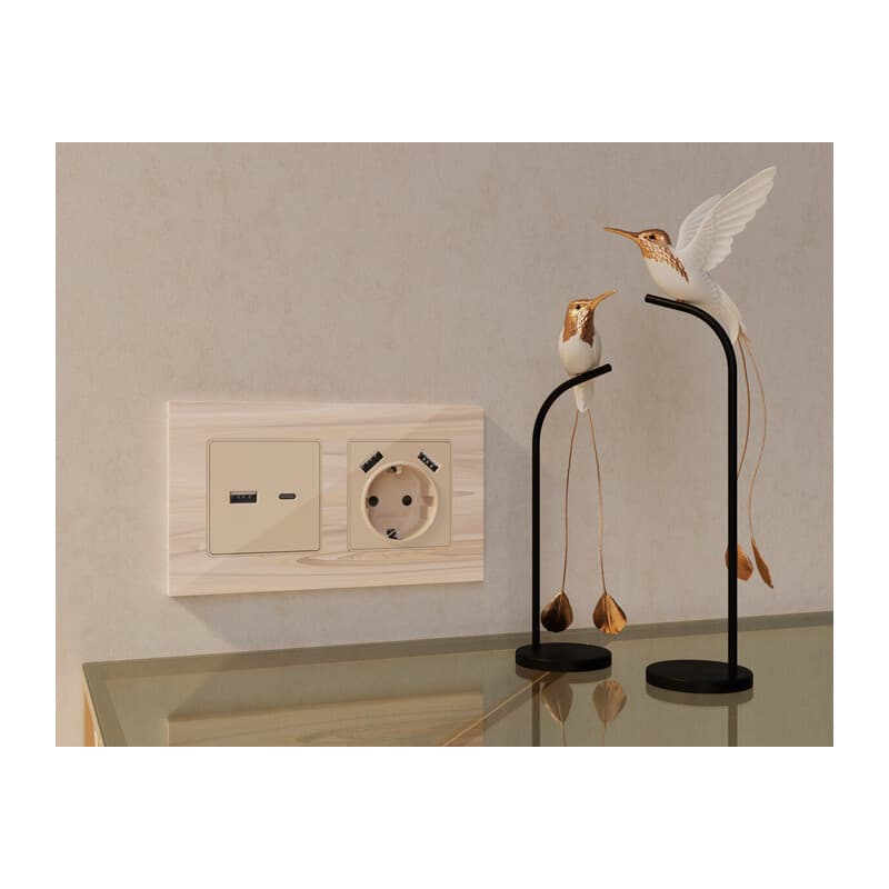 Комплект механизма розетки ALFA Бежевый глянец 2USB A+C 20W (быстрая зарядка) QUANT (AP3110, VM177)