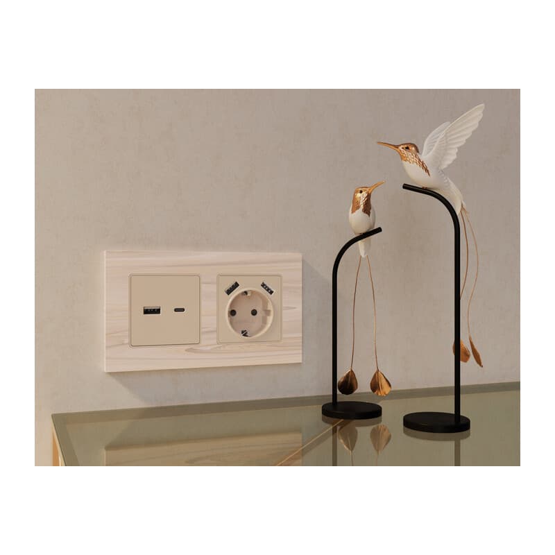 Комплект механизма розетки ALFA Бежевый матовый 2USB A+C 20W (быстрая зарядка) QUANT (AP3310, VM177)