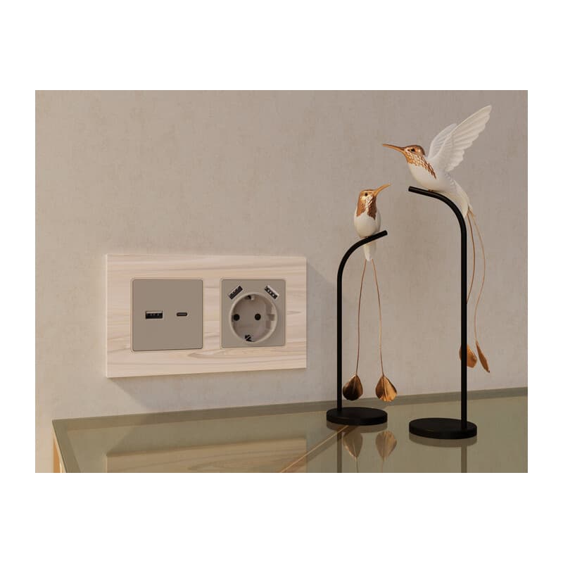 Комплект механизма розетки ALFA Серо-бежевый матовый 2USB A+C 20W (быстрая зарядка) QUANT (AP3710, VM177)