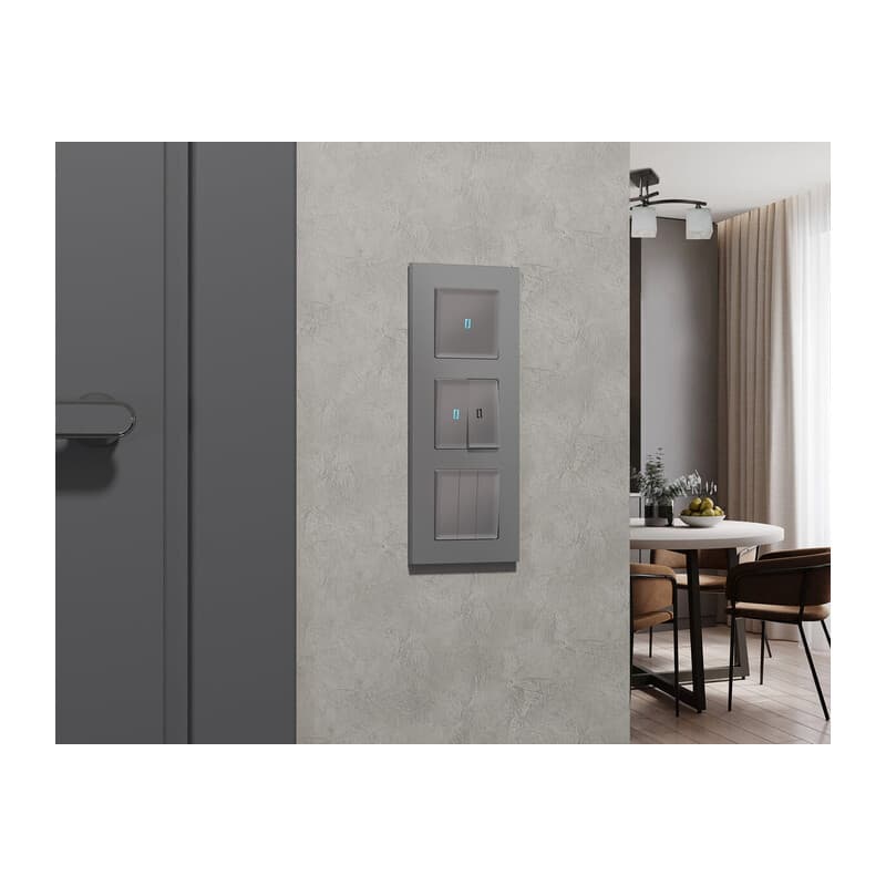 Комплект механизма 1-кл выключателя с самовозвратом с подсветкой 10000K ALFA Сталь матовый QUANT (AP5020, VM113, G17B)