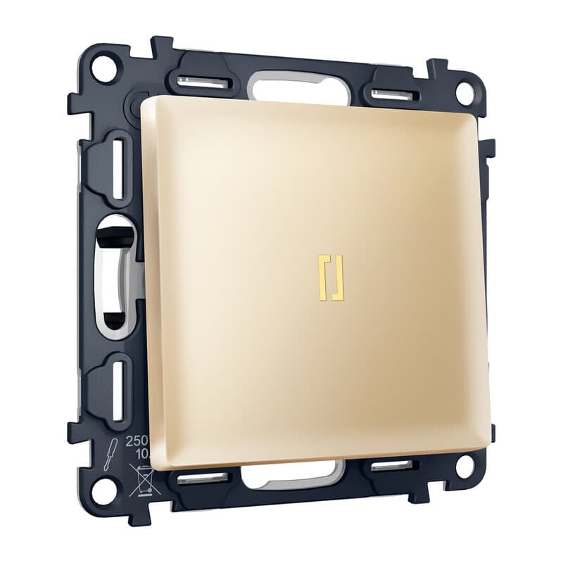 Комплект механизма 1-кл выключателя с самовозвратом с подсветкой 3200K ALFA Шампань QUANT (AP6020, VM113, G11Y)