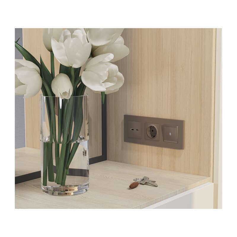 Комплект механизма розетки ALFA Темная бронза матовый 2USB A+C 20W (быстрая зарядка) QUANT (AP6410, VM177)