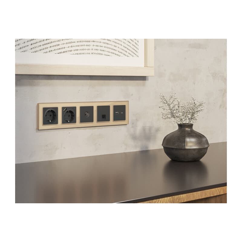 Комплект мех-ма компьютерной розетки RJ-45 экранированной с автоматической защитной шторкой ALFA Графит мягкое касание QUANT (AP9120, VM185)