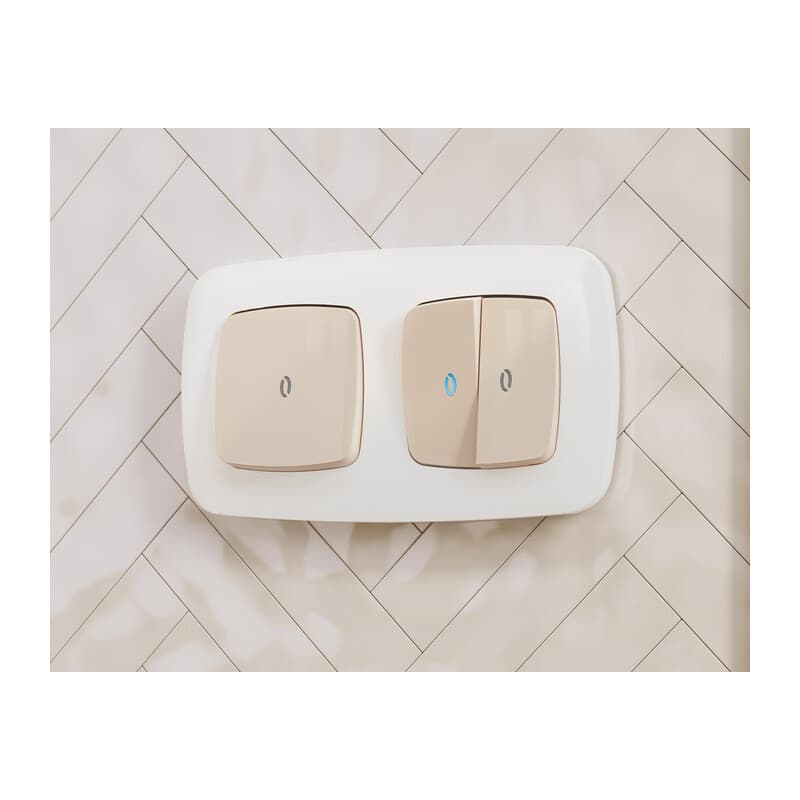 Рамка OMEGA Ecta (Белый глянец) 1-ая