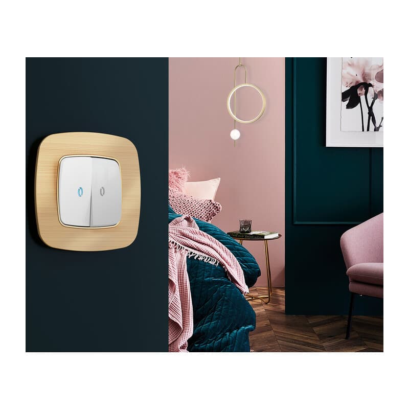 Рамка OMEGA Radian (Шампань Металл шлифованный) 1-ая