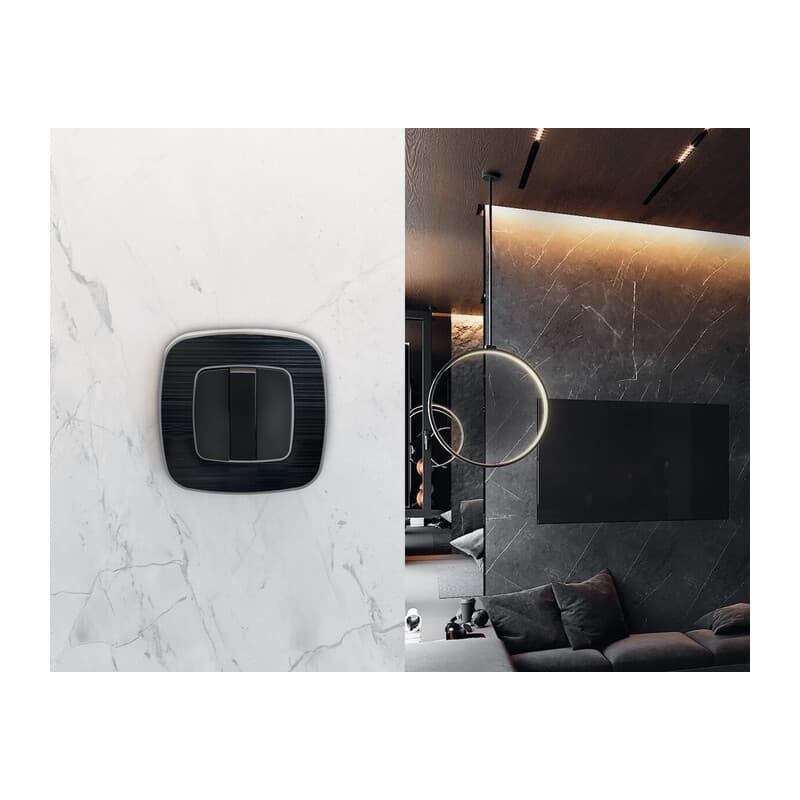 Рамка OMEGA Coint (Черный Стекло органическое/Сталь) 2-ая