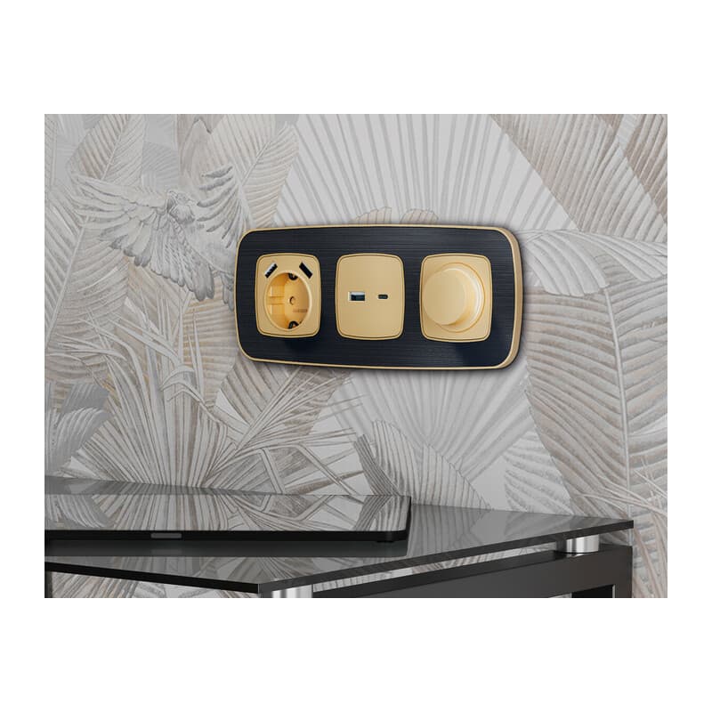 Рамка OMEGA Coint (Черный Стекло органическое/Шампань) 3-ая