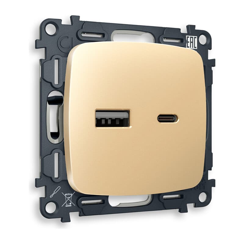 Комплект механизма розетки OMEGA Шампань 2USB A+C 20W (быстрая зарядка) QUANT (OP6110, VM177)