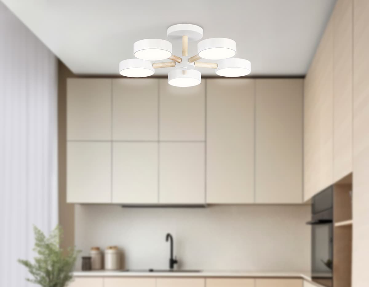 FL4825/5 WH белый 3000K-6400K 65W D580*160 (ПДУ ИК)