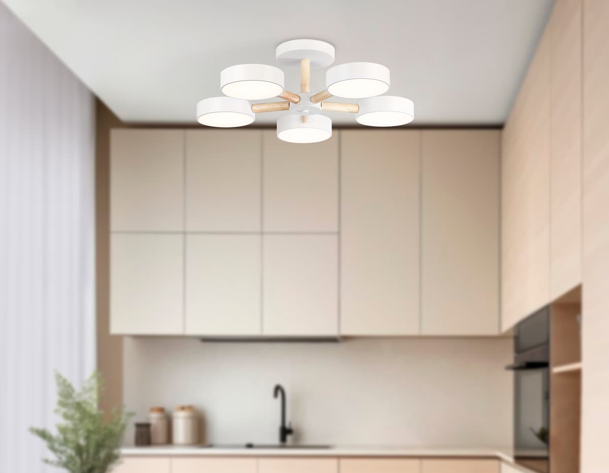 FL4825/5 WH белый 3000K-6400K 65W D580*160 (ПДУ ИК)