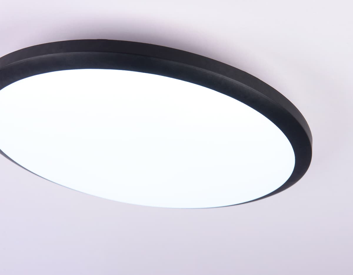 FZ1233 BK черный IP44 22W 6400К D260*55 (Без ПДУ)