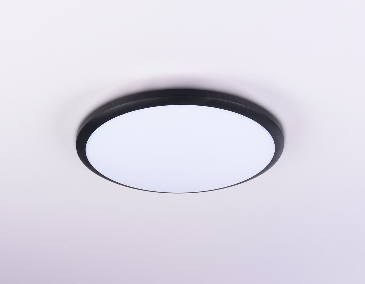 FZ1233 BK черный IP44 22W 6400К D260*55 (Без ПДУ)