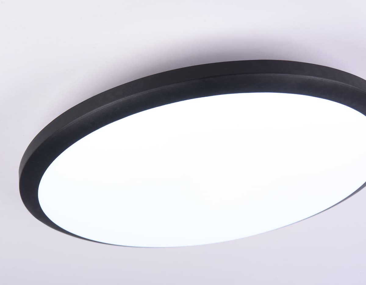 FZ1234 BK черный IP44 42W 6400К D370*55 (Без ПДУ)