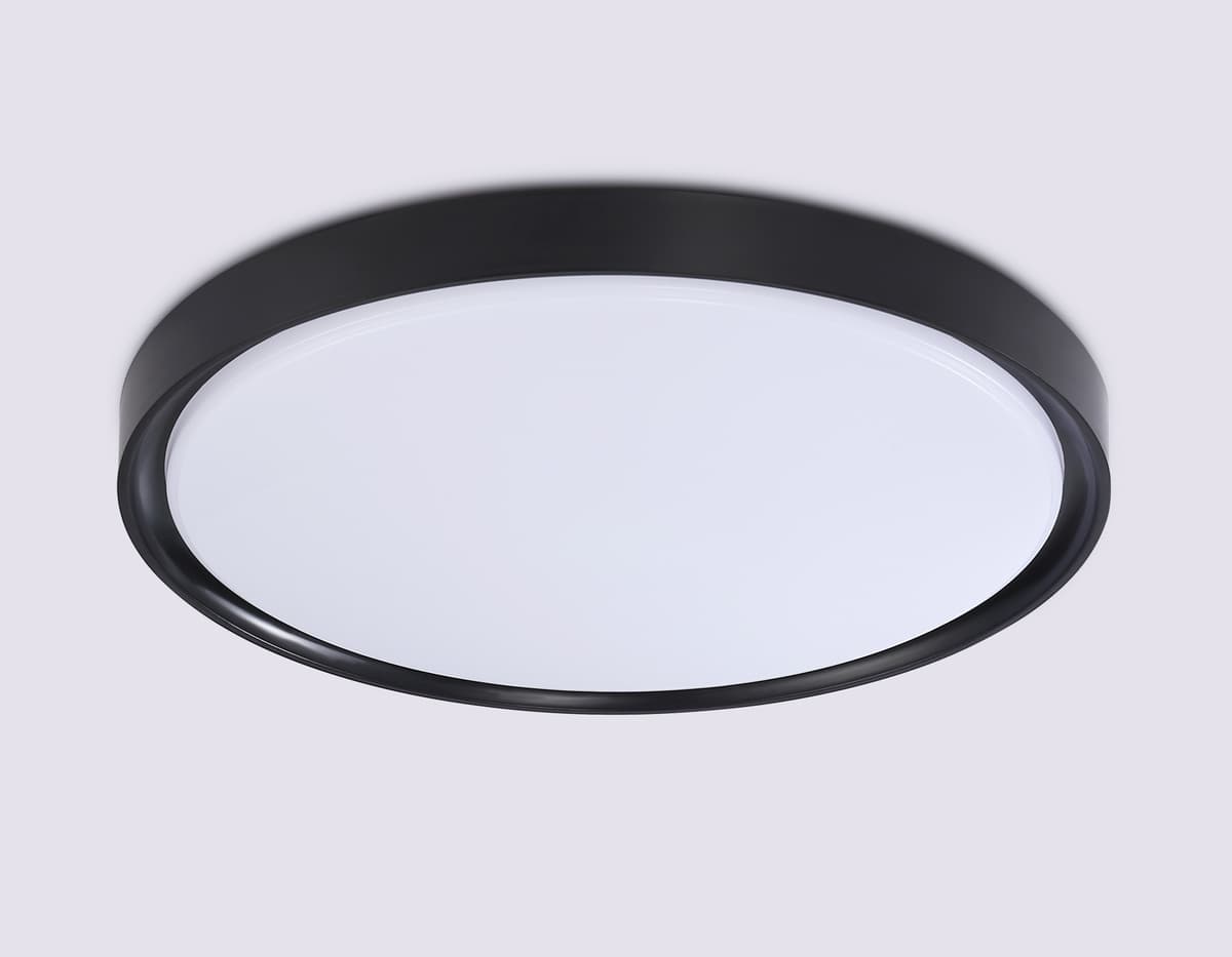 FZ1248 BK черный IP54 30W 5000K D380*60 (Без ПДУ)