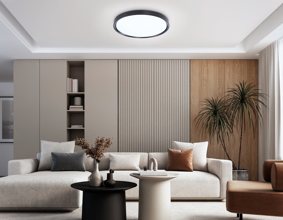 FZ1248 BK черный IP54 30W 5000K D380*60 (Без ПДУ)