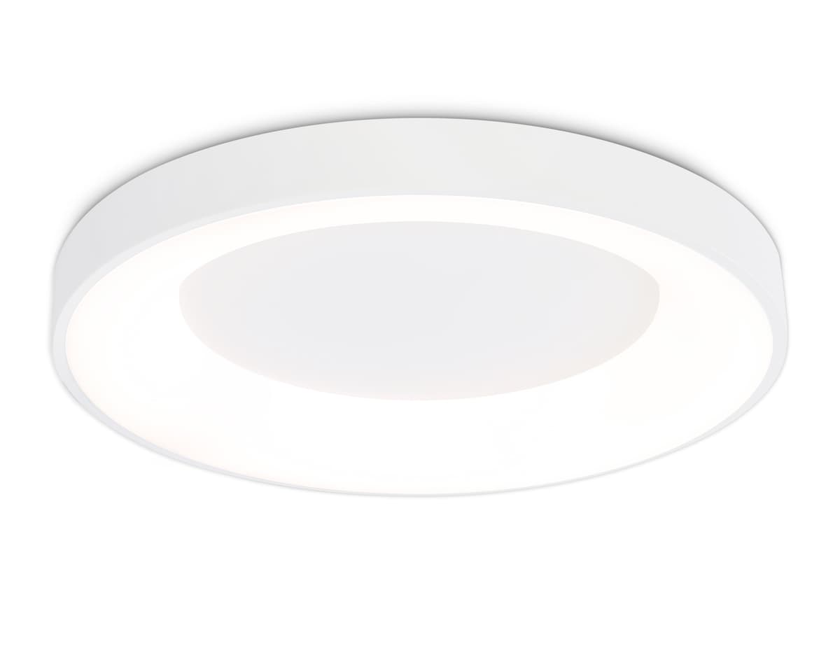 FZ1401 WH белый IP20 48W 3000K-6500K D500*50 (ПДУ ИК)