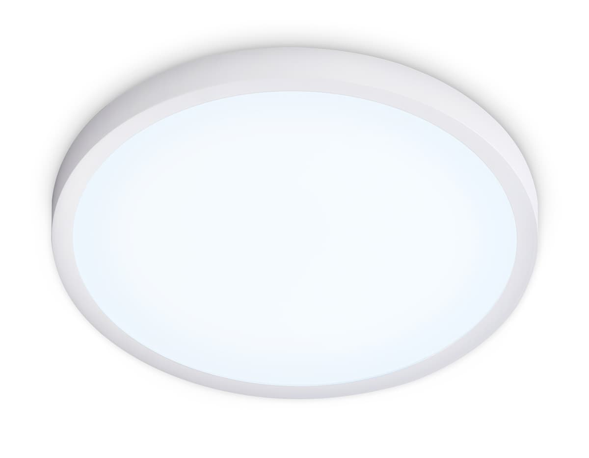 FZ1951 WH белый IP54 20W 5000K D270*15 (Без ПДУ)