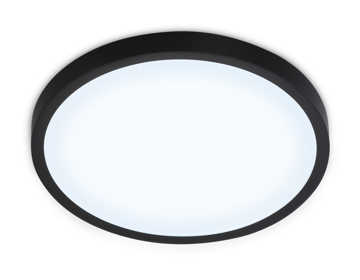 FZ1953 BK черный IP54 20W 5000K D270*15 (Без ПДУ)