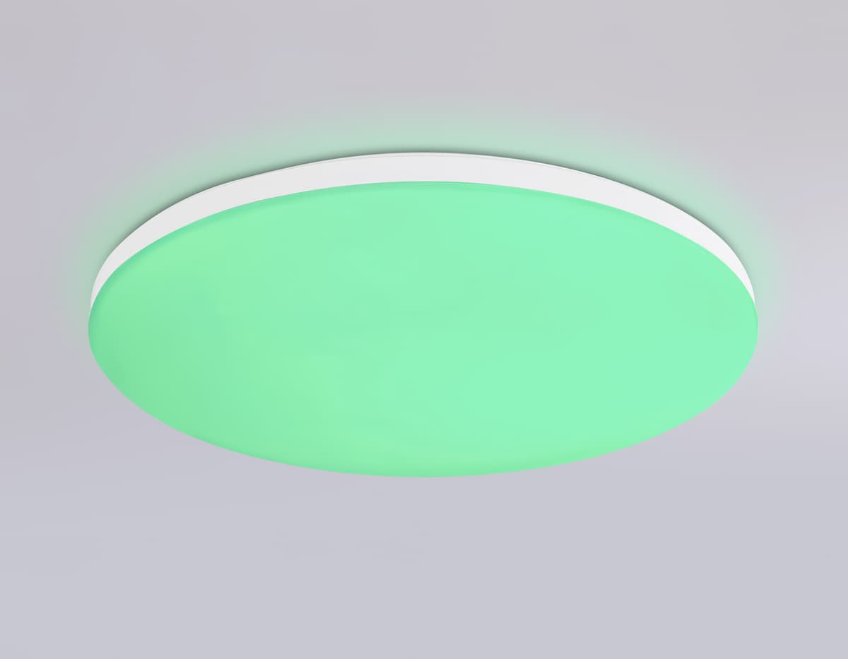 FZ2001 WH белый IP54 20W 3000K-6500K+RGB Wi-Fi Алиса/Tuya/Smart Home/Alexa D300*55 (ПДУ ИК)