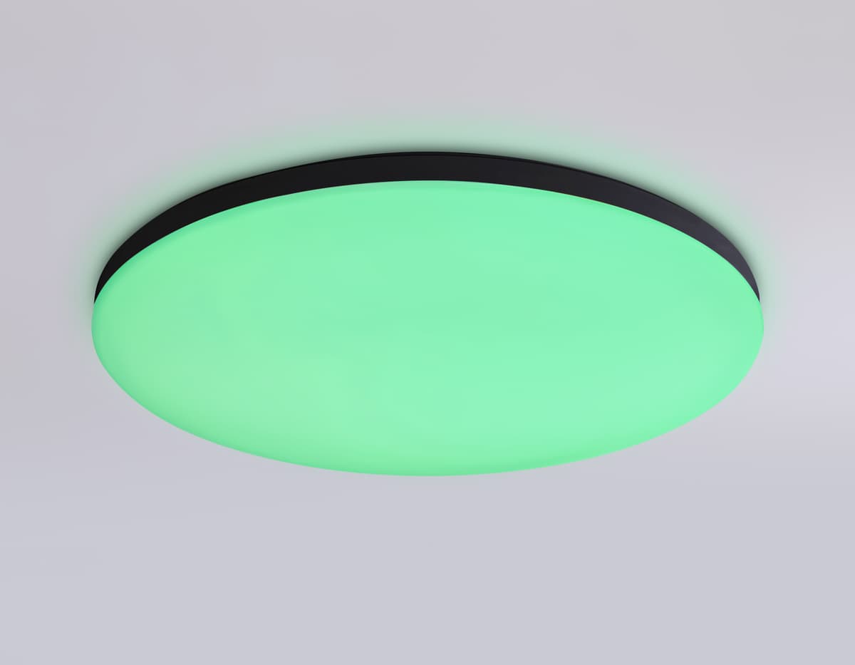 FZ2004 BK черный IP54 20W 3000K-6500K+RGB Wi-Fi Алиса/Tuya/Smart Home/Alexa D300*55 (ПДУ ИК)