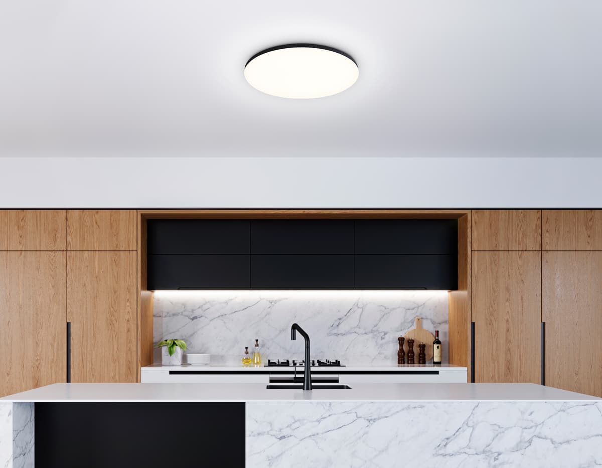 FZ2004 BK черный IP54 20W 3000K-6500K+RGB Wi-Fi Алиса/Tuya/Smart Home/Alexa D300*55 (ПДУ ИК)